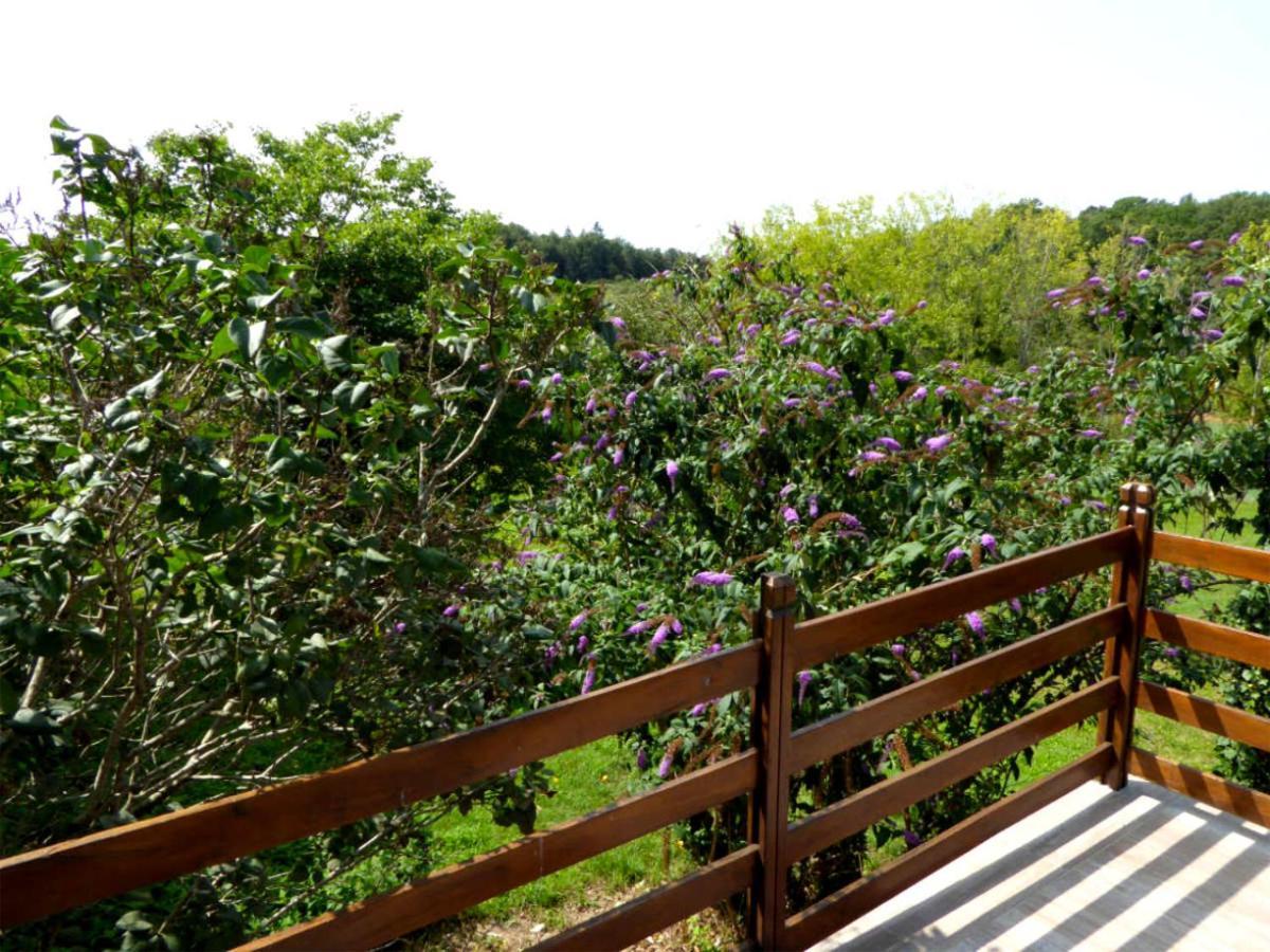 Gites De Pouzelande Sanilhac  Ngoại thất bức ảnh